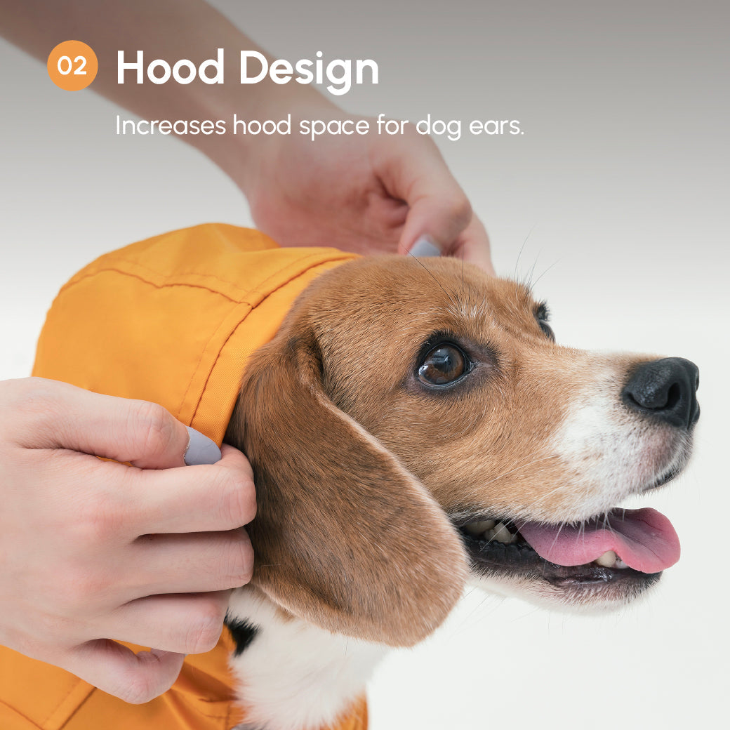 BOWERY RAINCOAT - BEIGE