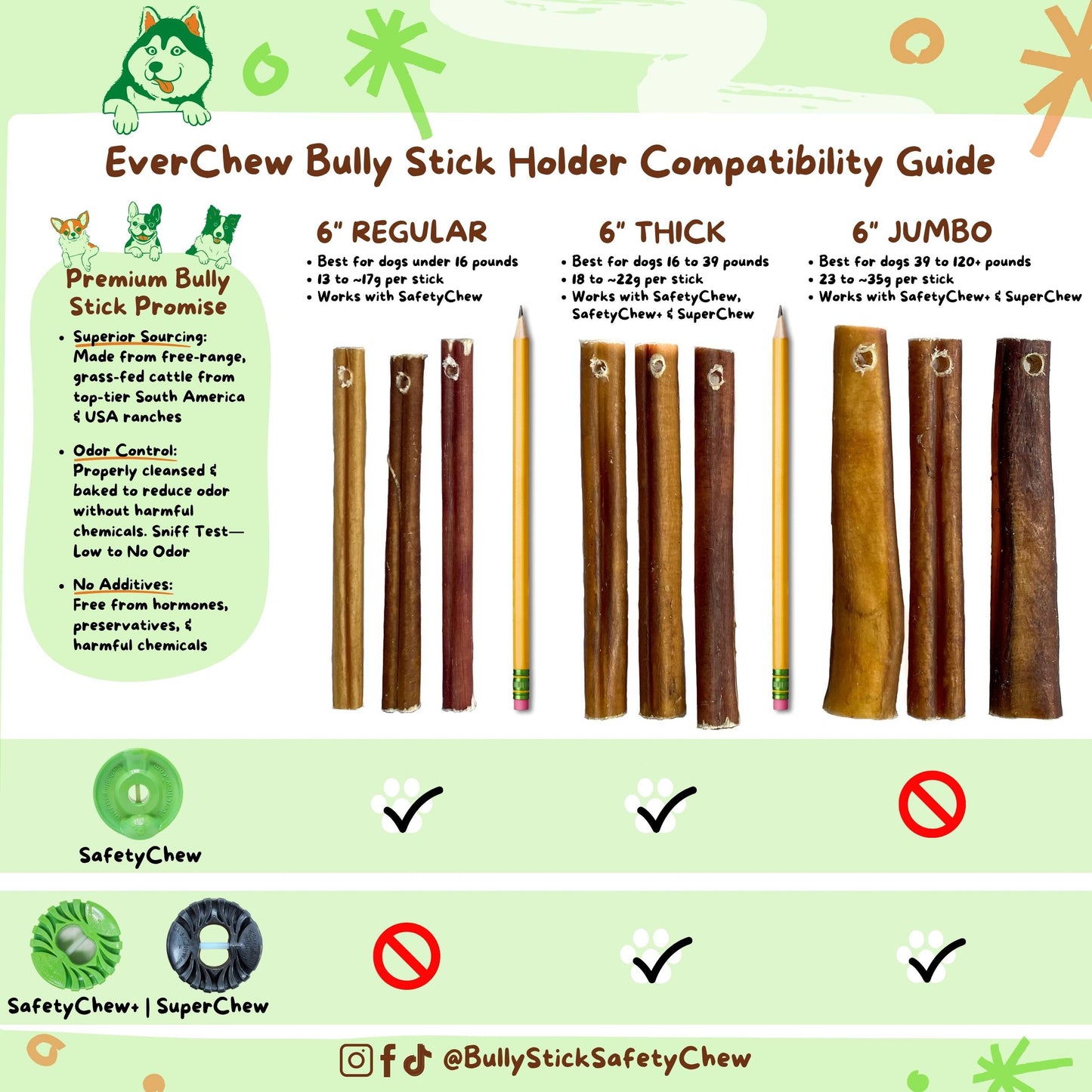 SafetyChew Small Dog Starter Pack: Pin-Lock Bully Stick Holder +  All-Natural Bully Sticks for Dogs Under 16lbs - Doot's Pet LLC Collars For A Cause