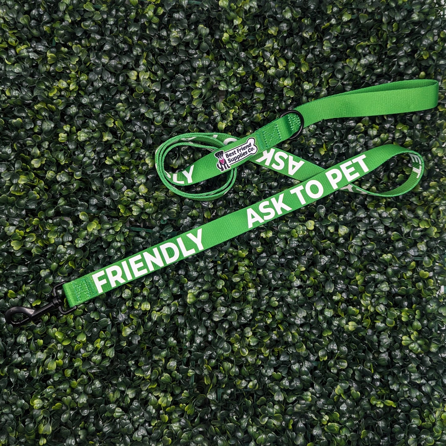 Friendly Ask to Pet Leash