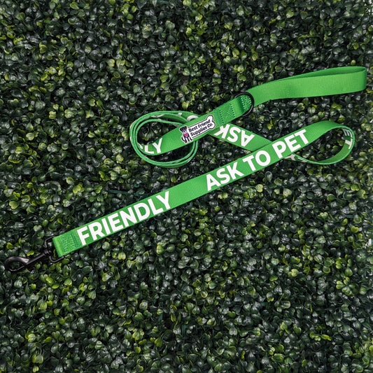 Friendly Ask to Pet Leash