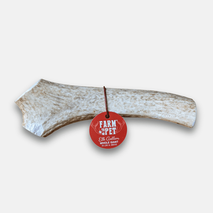 Elk Antler Dog Chews | All-Natural Whole and Split Elk Antler Chews for Dogs - Doot's Pet LLC Collars For A Cause