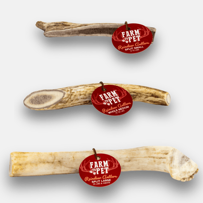 Reindeer Antler Dog Chews | Organic Chews for Dogs - Doot's Pet LLC Collars For A Cause