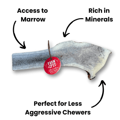ELK ANTLERS FOR DOGS | WHOLE AND SPLIT ELK ANTLER CHEWS