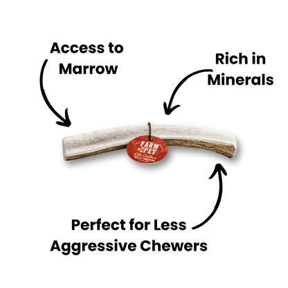 ELK ANTLERS FOR DOGS | WHOLE AND SPLIT ELK ANTLER CHEWS