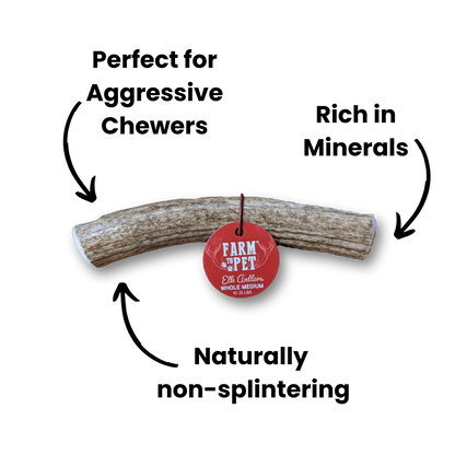 ELK ANTLERS FOR DOGS | WHOLE AND SPLIT ELK ANTLER CHEWS