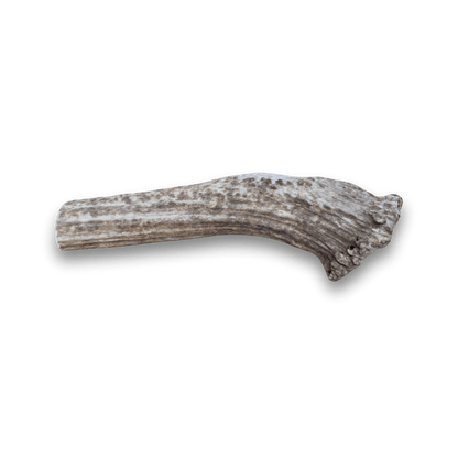 ELK ANTLERS FOR DOGS | WHOLE AND SPLIT ELK ANTLER CHEWS