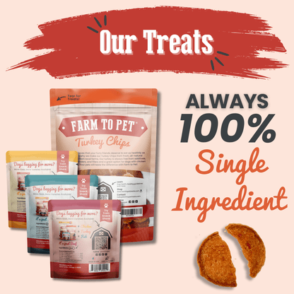 Puppy Packs 'n Snacks Dog Treat Starter Pack | Single-Ingredient Training Treats - Doot's Pet LLC Collars For A Cause
