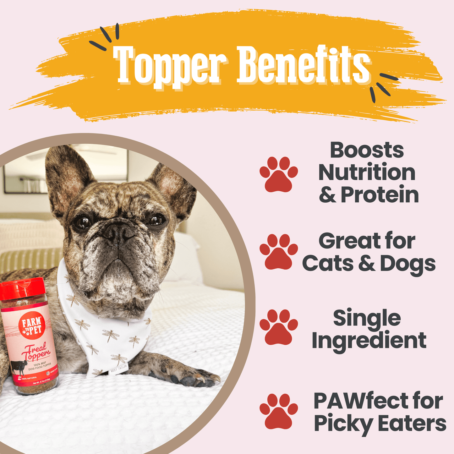 Treat Topper Beef Dog Food Topper | Powdered Meal Topper for Pets - Doot's Pet LLC Collars For A Cause