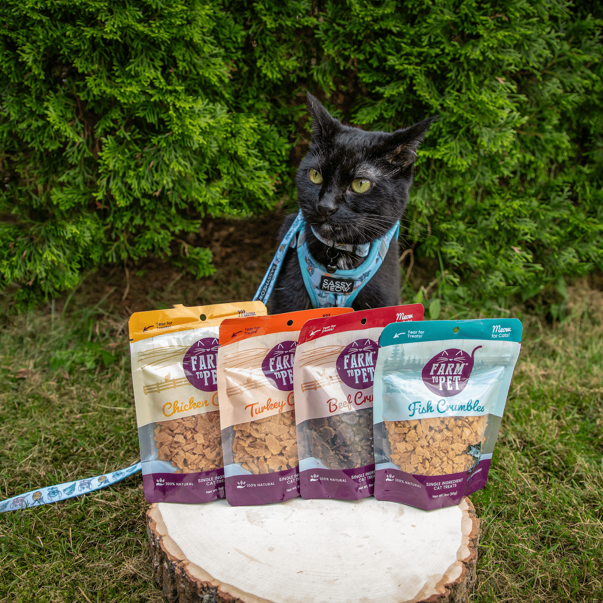 Fish Crumbles for Cats | All-Natural Fish Cat Treats - Doot's Pet LLC Collars For A Cause