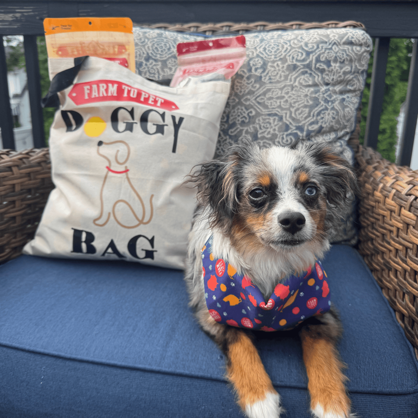Farm To Pet Tote Bag | Paw-some Gift for Animal Lovers - Doot's Pet LLC Collars For A Cause