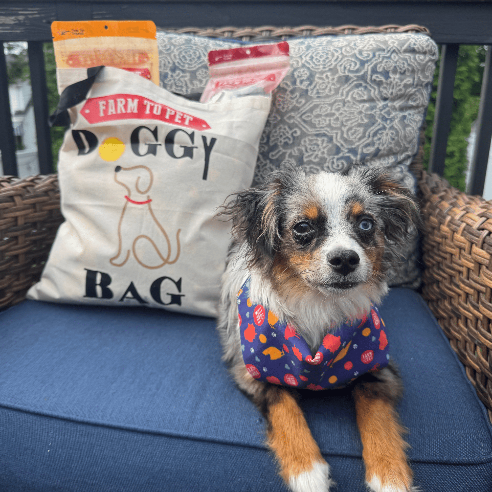 Farm To Pet Tote Bag | Paw-some Gift for Animal Lovers - Doot's Pet LLC Collars For A Cause
