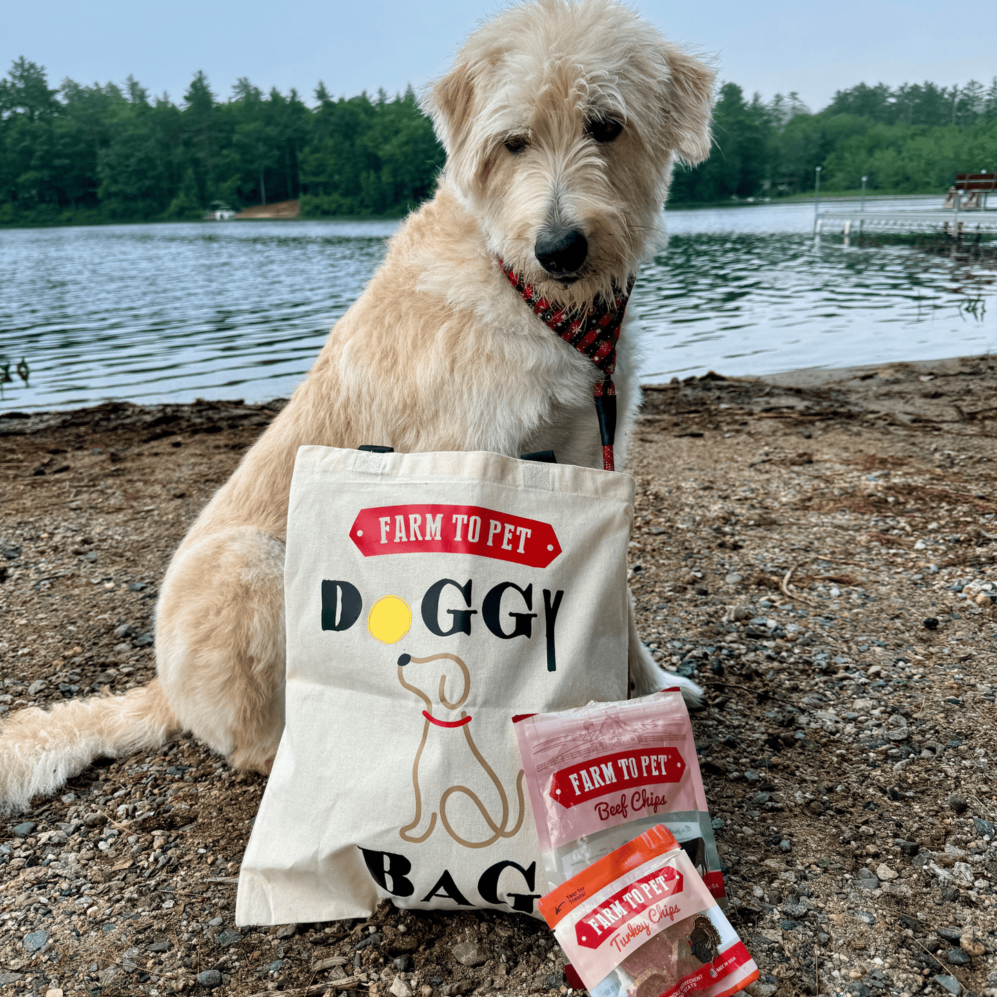 Farm To Pet Tote Bag | Paw-some Gift for Animal Lovers - Doot's Pet LLC Collars For A Cause