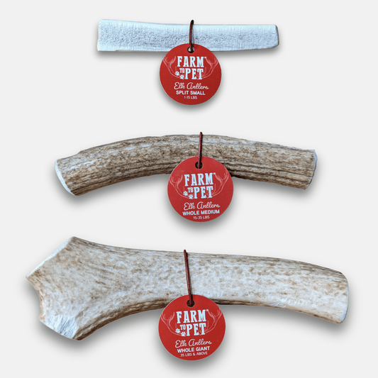 Elk Antler Dog Chews | All-Natural Whole and Split Elk Antler Chews for Dogs - Doot's Pet LLC Collars For A Cause