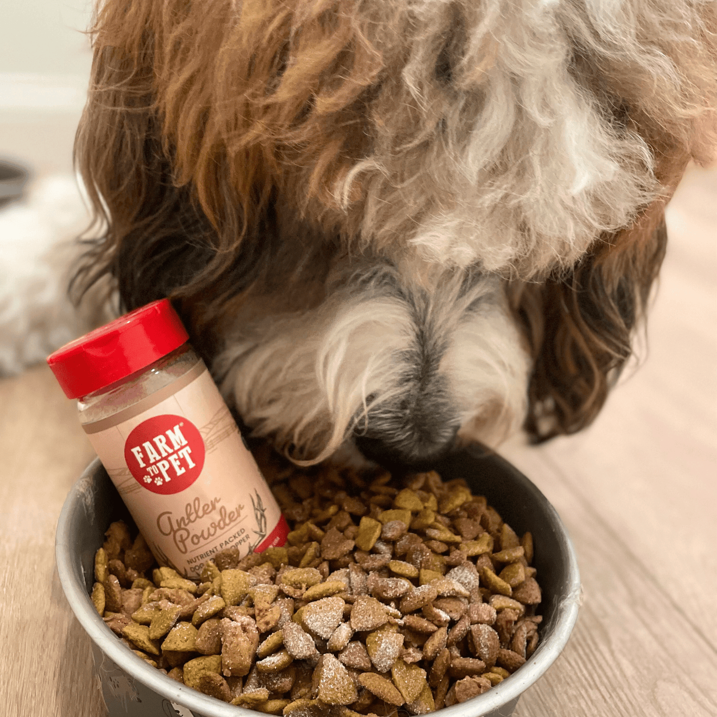 Treat Topper Antler Powder Dog Food Topper | Nutritional Supplement for Dogs and Cats - Doot's Pet LLC Collars For A Cause