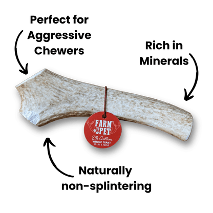 ELK ANTLERS FOR DOGS | WHOLE AND SPLIT ELK ANTLER CHEWS