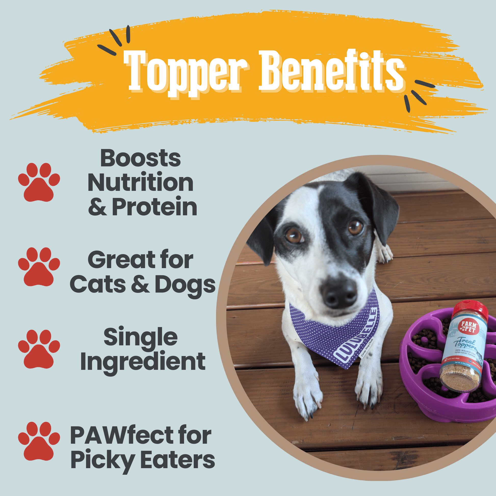 Treat Topper Fish Dog Food Topper | Low-Fat Meal Topper for Pets - Doot's Pet LLC Collars For A Cause