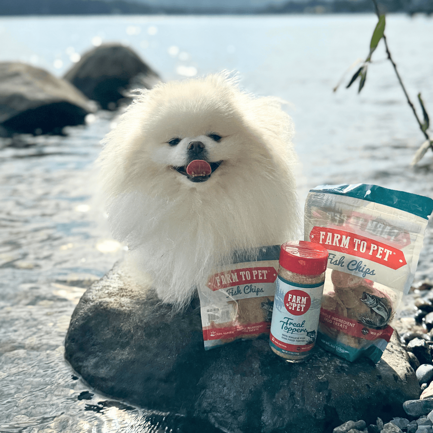 Treat Topper Fish Dog Food Topper | Low-Fat Meal Topper for Pets - Doot's Pet LLC Collars For A Cause