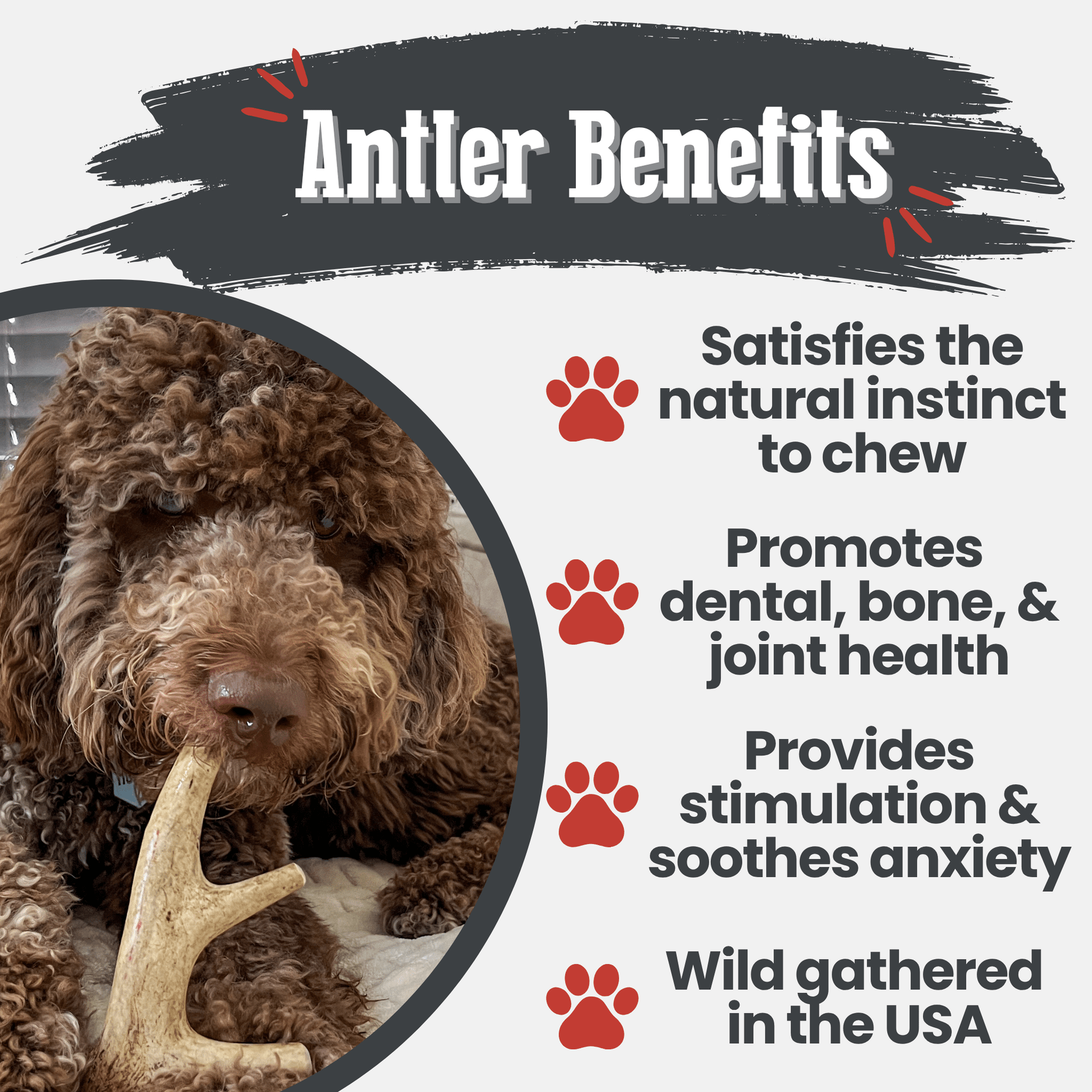 Deer Antler Dog Chews | Organic Chews for Dogs - Doot's Pet LLC Collars For A Cause