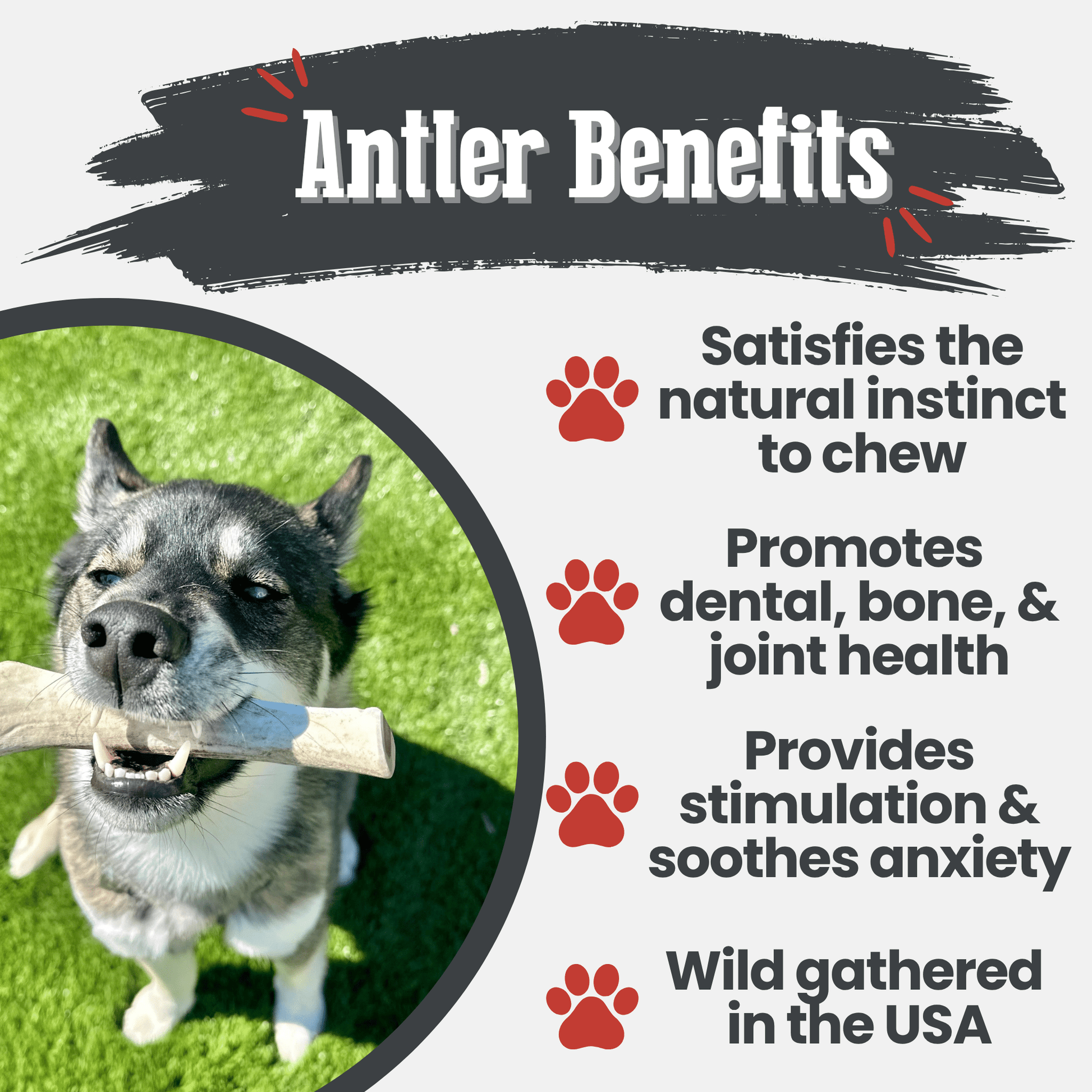 Reindeer Antler Dog Chews | Organic Chews for Dogs - Doot's Pet LLC Collars For A Cause
