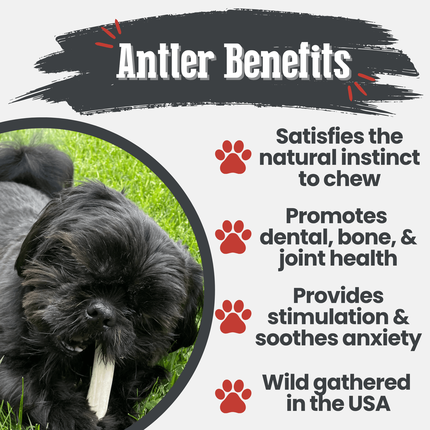 Reindeer Antler Dog Chews | Organic Chews for Dogs - Doot's Pet LLC Collars For A Cause