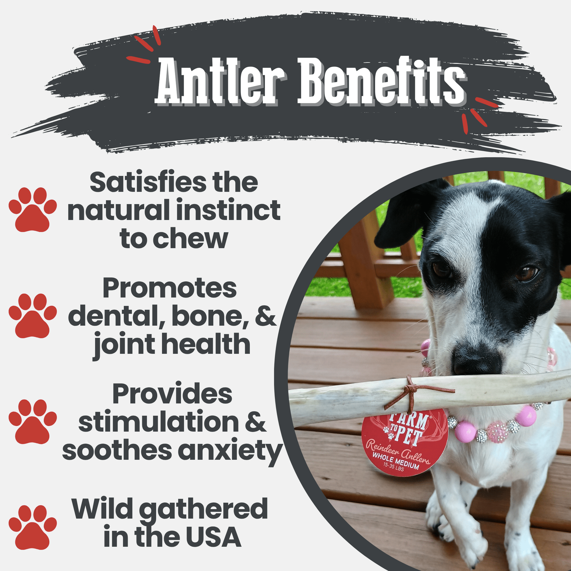 Reindeer Antler Dog Chews | Organic Chews for Dogs - Doot's Pet LLC Collars For A Cause