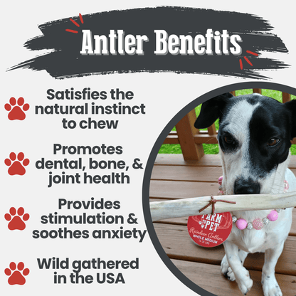 Reindeer Antler Dog Chews | Organic Chews for Dogs - Doot's Pet LLC Collars For A Cause