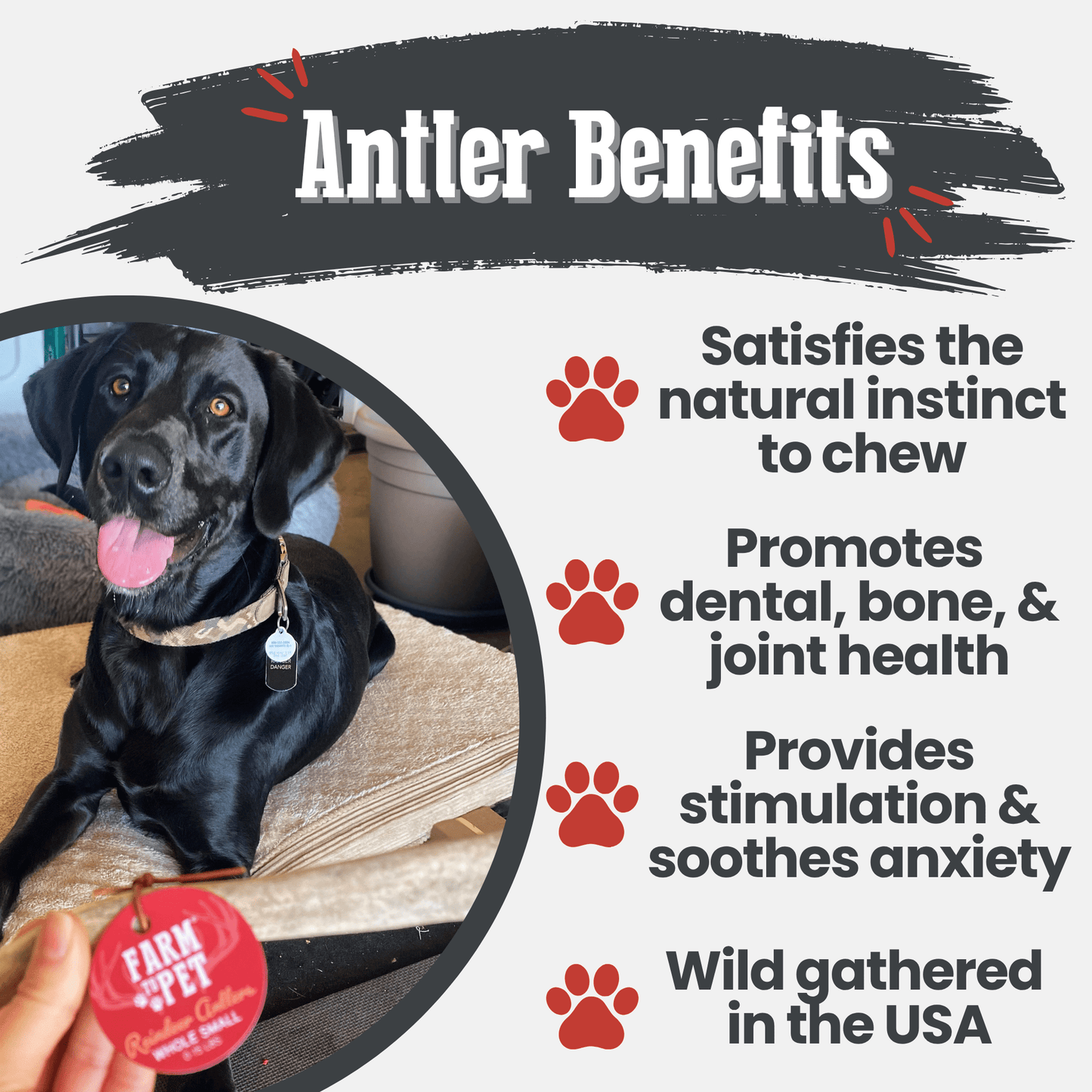 Reindeer Antler Dog Chews | Organic Chews for Dogs - Doot's Pet LLC Collars For A Cause