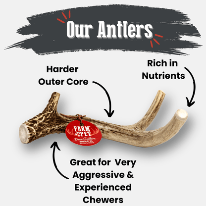 Deer Antler Dog Chews | Organic Chews for Dogs - Doot's Pet LLC Collars For A Cause