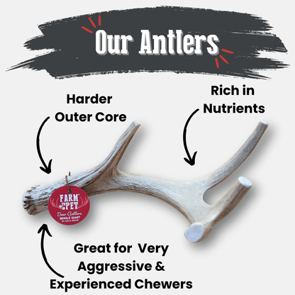 Deer Antler Dog Chews | Organic Chews for Dogs - Doot's Pet LLC Collars For A Cause
