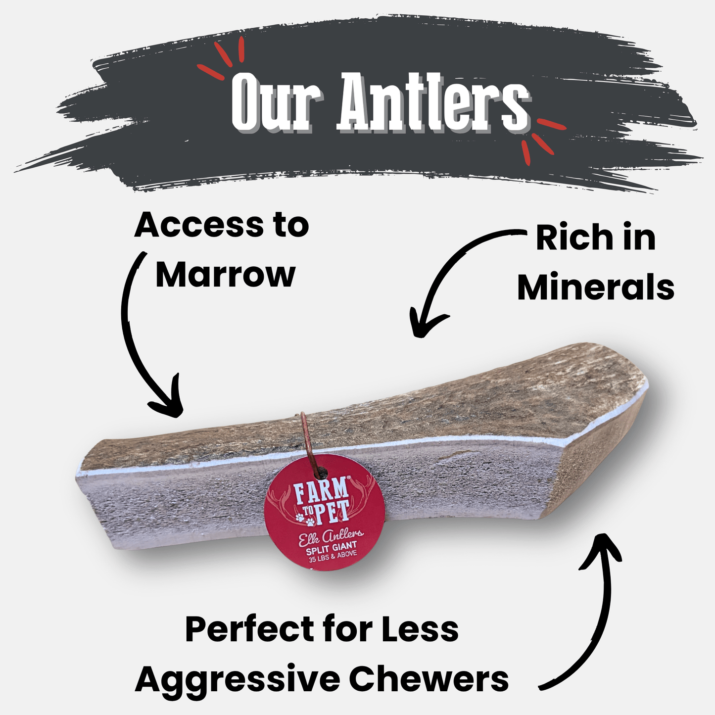 Elk Antler Dog Chews | All-Natural Whole and Split Elk Antler Chews for Dogs - Doot's Pet LLC Collars For A Cause