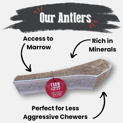 Elk Antler Dog Chews | All-Natural Whole and Split Elk Antler Chews for Dogs - Doot's Pet LLC Collars For A Cause