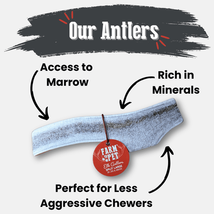 Elk Antler Dog Chews | All-Natural Whole and Split Elk Antler Chews for Dogs - Doot's Pet LLC Collars For A Cause