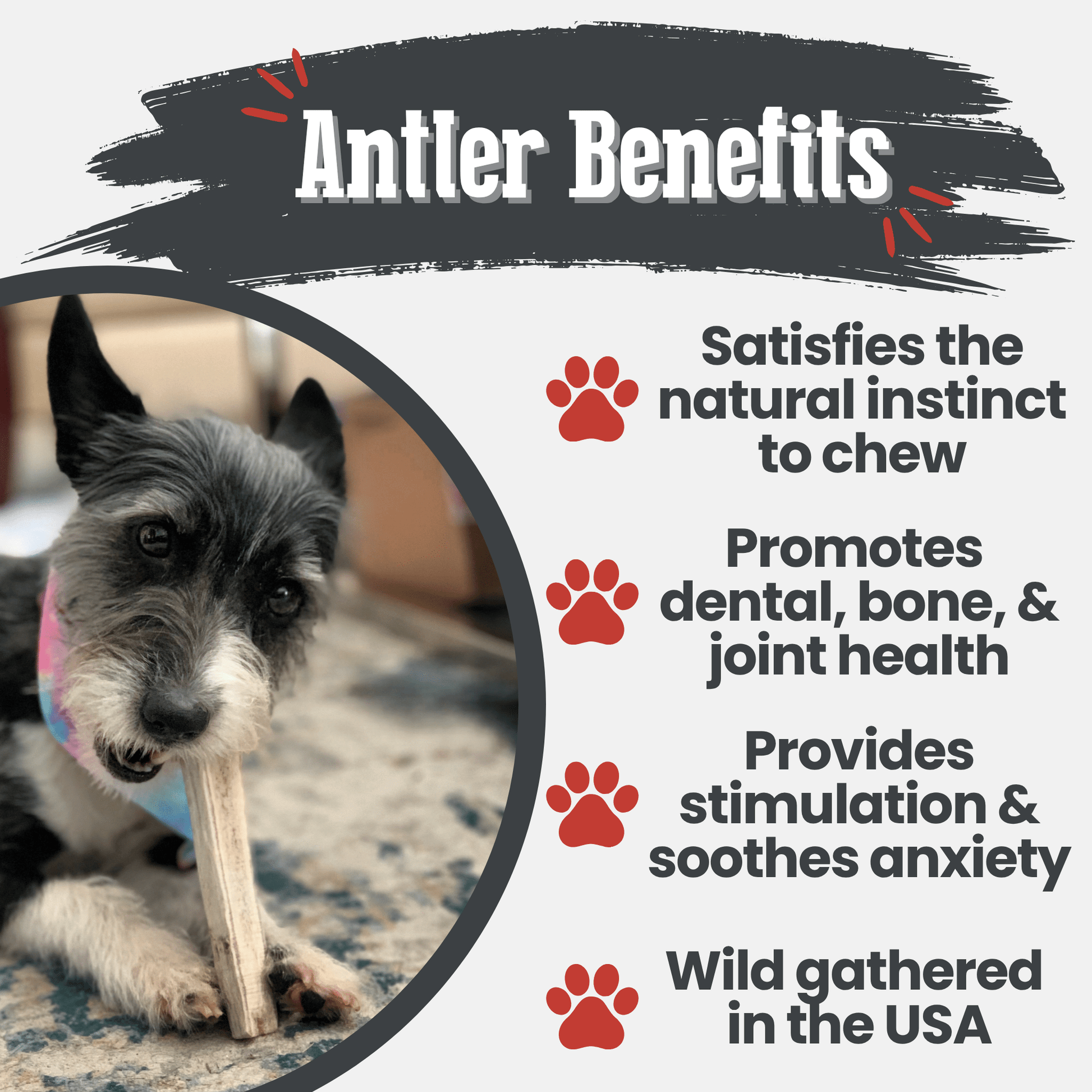 Elk Antler Dog Chews | All-Natural Whole and Split Elk Antler Chews for Dogs - Doot's Pet LLC Collars For A Cause