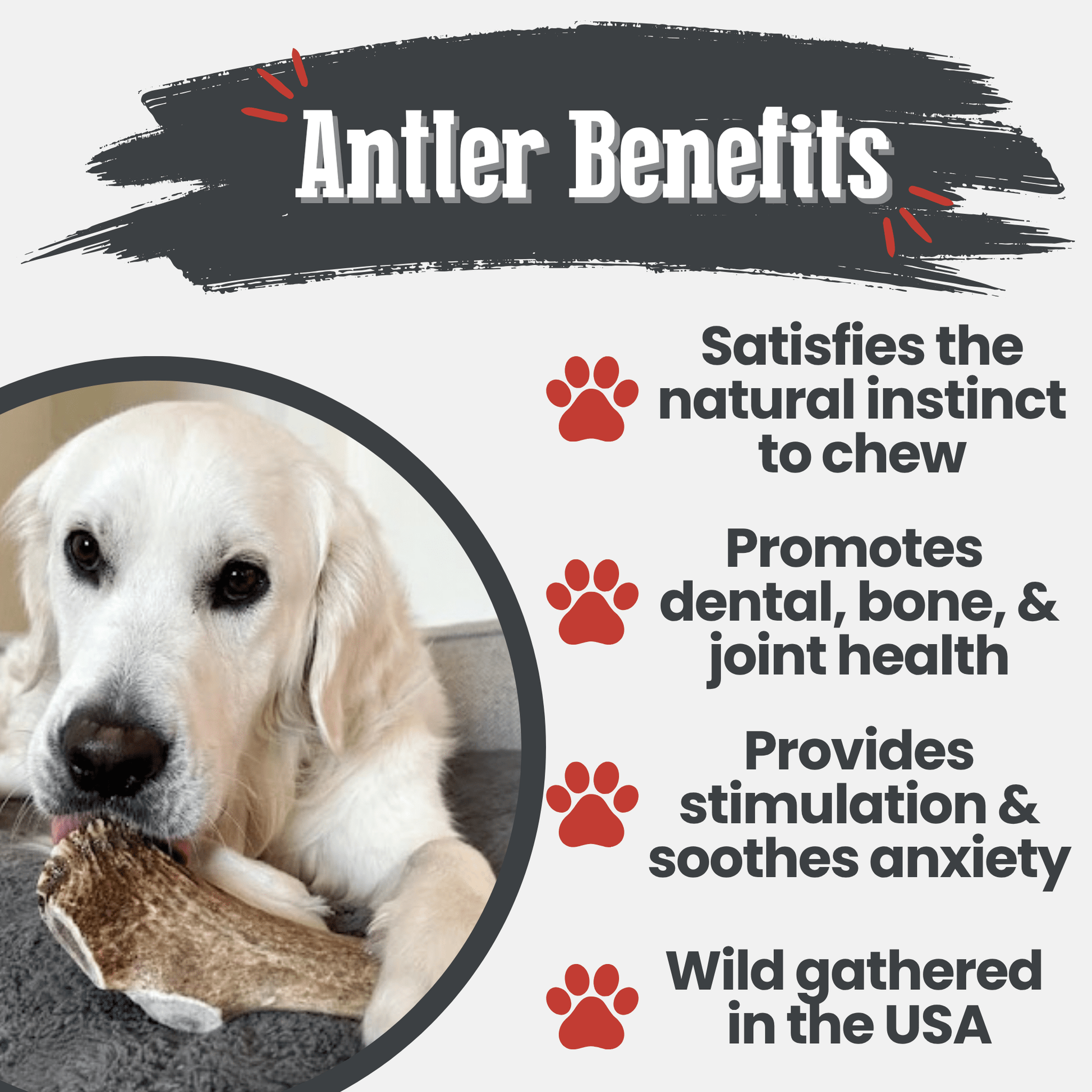 Elk Antler Dog Chews | All-Natural Whole and Split Elk Antler Chews for Dogs - Doot's Pet LLC Collars For A Cause