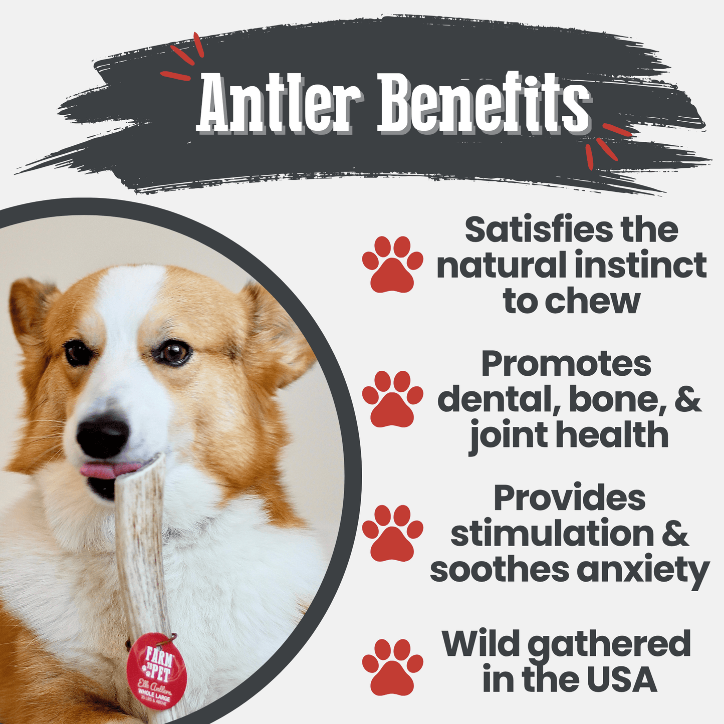 Elk Antler Dog Chews | All-Natural Whole and Split Elk Antler Chews for Dogs - Doot's Pet LLC Collars For A Cause