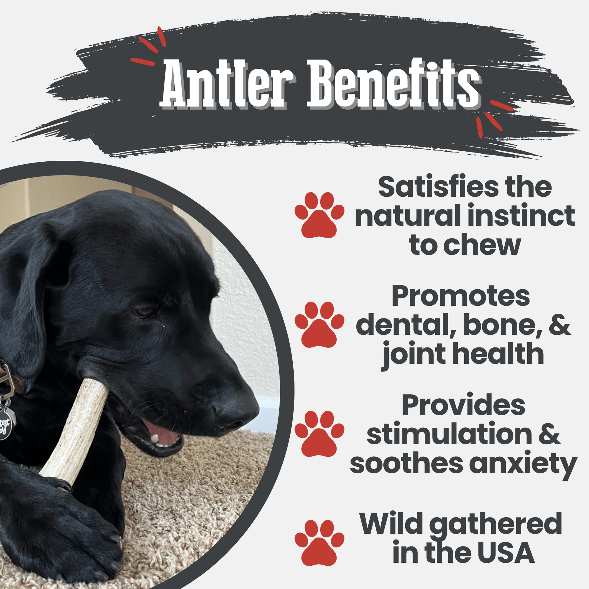 Elk Antler Dog Chews | All-Natural Whole and Split Elk Antler Chews for Dogs - Doot's Pet LLC Collars For A Cause