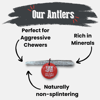 Elk Antler Dog Chews | All-Natural Whole and Split Elk Antler Chews for Dogs - Doot's Pet LLC Collars For A Cause