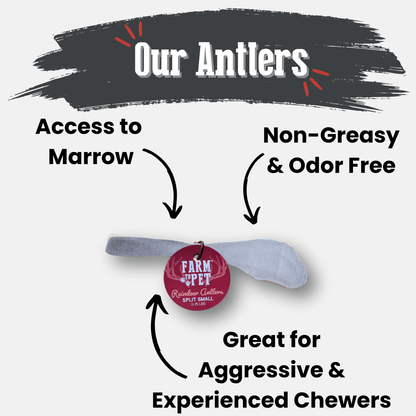 Reindeer Antler Dog Chews | Organic Chews for Dogs - Doot's Pet LLC Collars For A Cause