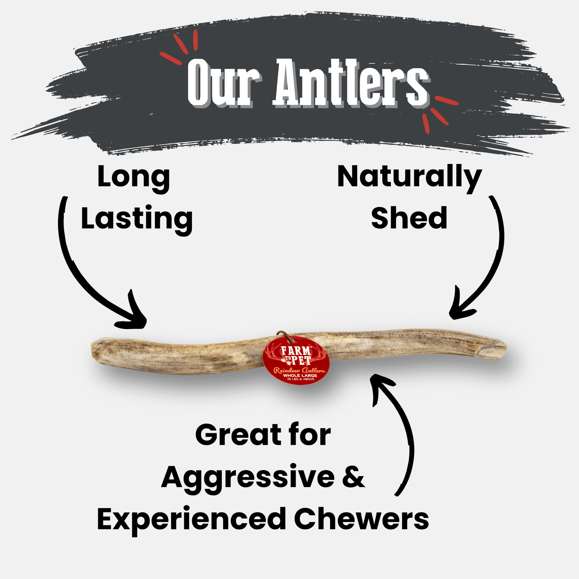 Reindeer Antler Dog Chews | Organic Chews for Dogs - Doot's Pet LLC Collars For A Cause