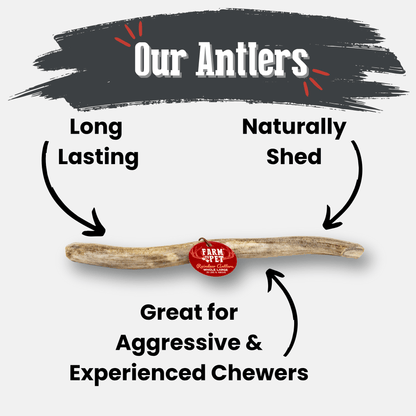 Reindeer Antler Dog Chews | Organic Chews for Dogs - Doot's Pet LLC Collars For A Cause