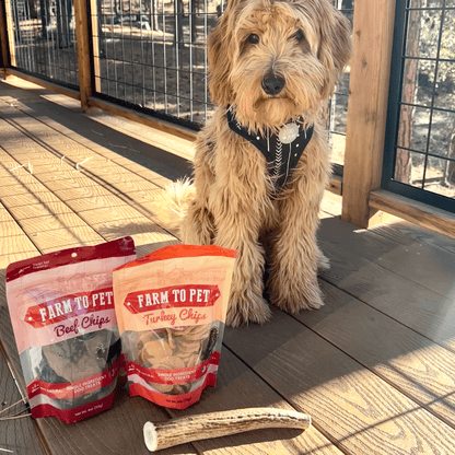 Reindeer Antler Dog Chews | Organic Chews for Dogs - Doot's Pet LLC Collars For A Cause