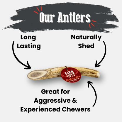 Reindeer Antler Dog Chews | Organic Chews for Dogs - Doot's Pet LLC Collars For A Cause