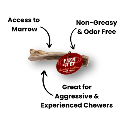 REINDEER ANTLERS FOR DOGS | ANTLER DOG CHEWS FOR AGGRESSIVE CHEWERS