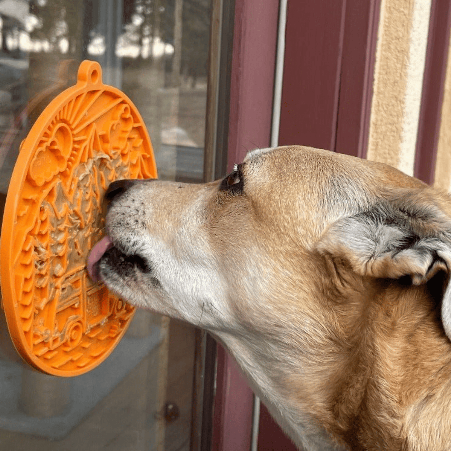 Dog Lick Mats with Suction Cups - Doot's Pet LLC Collars For A Cause