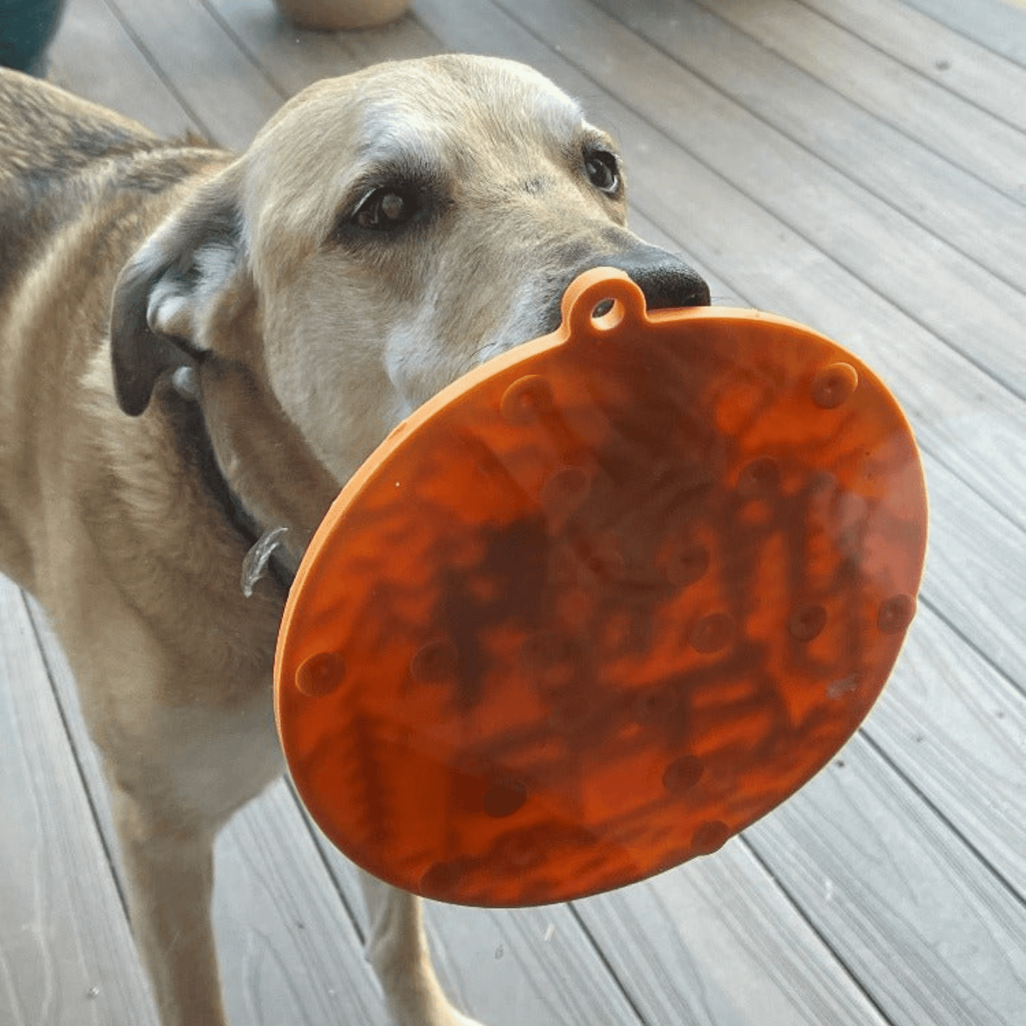 Dog Lick Mats with Suction Cups - Doot's Pet LLC Collars For A Cause