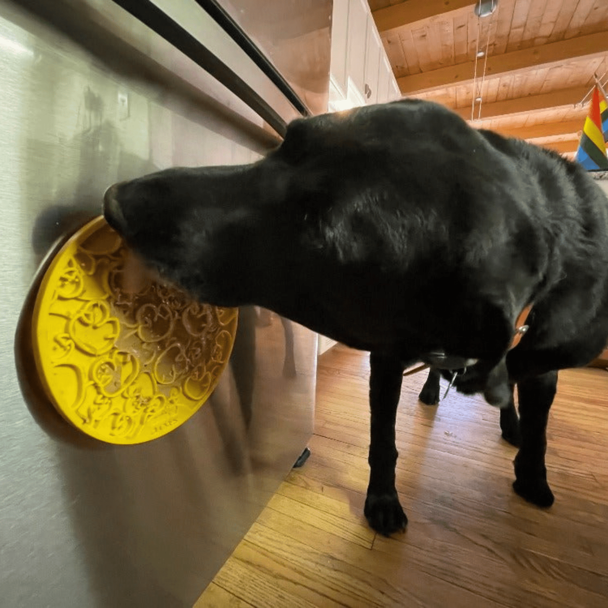 Dog Lick Mats with Suction Cups - Doot's Pet LLC Collars For A Cause
