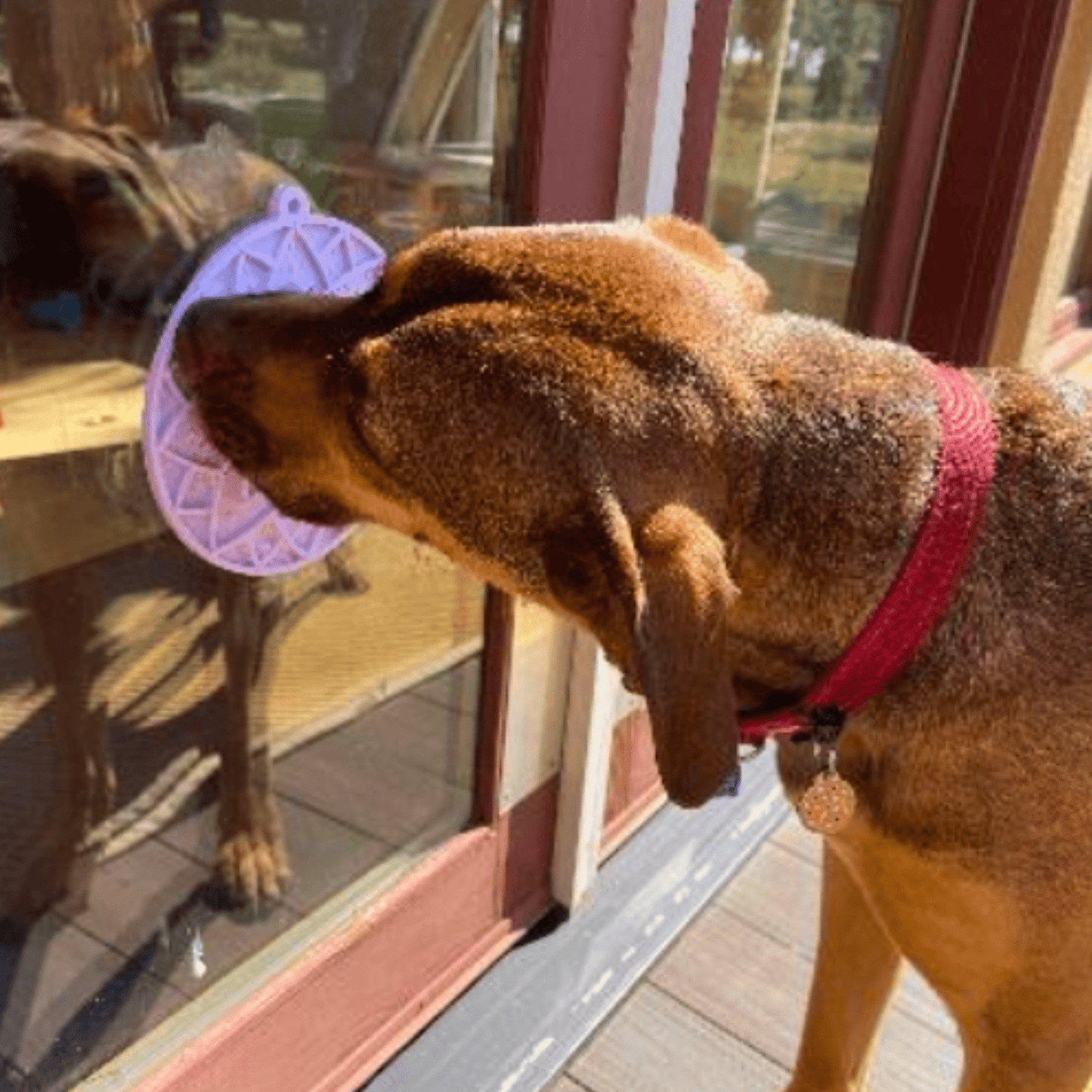 Dog Lick Mats with Suction Cups - Doot's Pet LLC Collars For A Cause