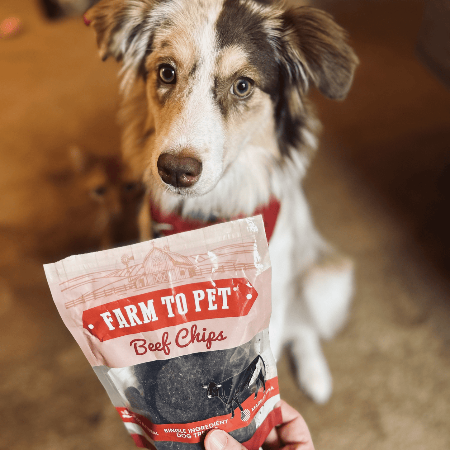Puppy Packs 'n Snacks Dog Treat Starter Pack | Single-Ingredient Training Treats - Doot's Pet LLC Collars For A Cause