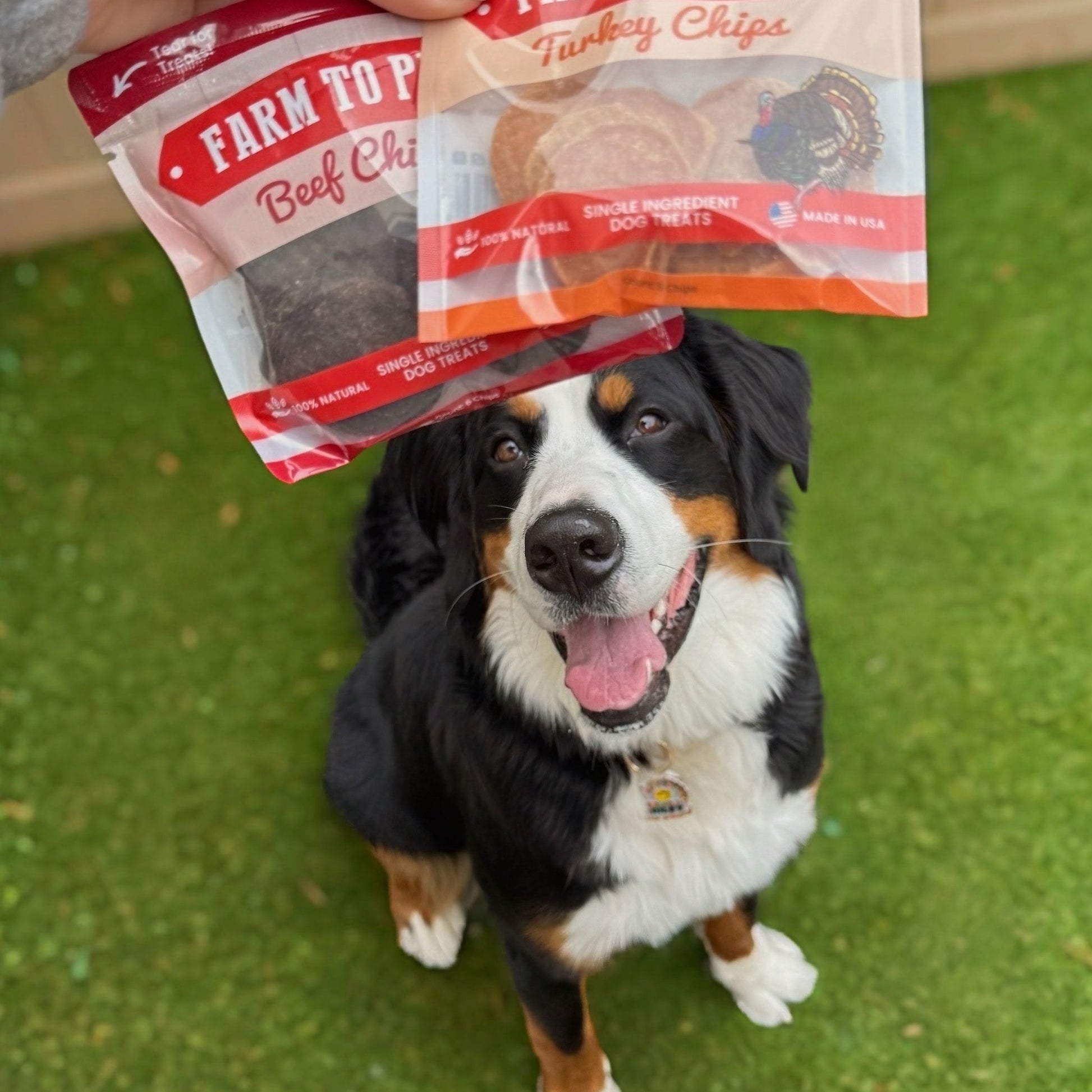 Puppy Packs 'n Snacks Dog Treat Starter Pack | Single-Ingredient Training Treats - Doot's Pet LLC Collars For A Cause
