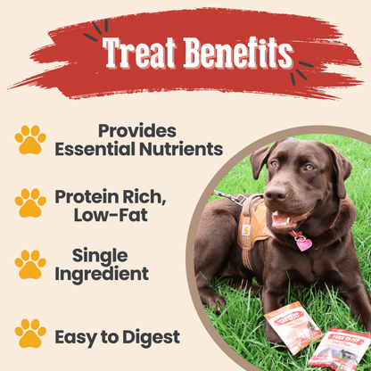 Snack Pack Dog Treat Sampler - Doot's Pet LLC Collars For A Cause